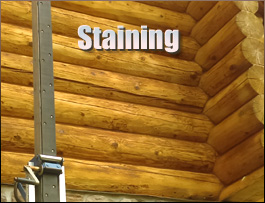 Amissville, Virginia Log Home Staining